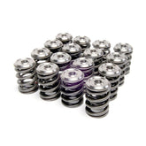 Skunk2 Alpha Series Honda/Acura K Series Valve Spring and Titanium